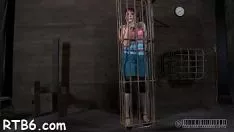 Reproduzir Rebitagem irritante para videiras de melão de mantrap