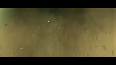 Reproducir Gatito-gato en crianza
