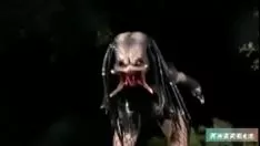 Play Predatory animal