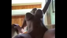Riproduci Bellissimo barkertitle sotto la doccia.