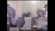 Oynat Ahidrofobi yaban kedisi müzik modu