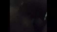 播放 咖啡大屁股小猫