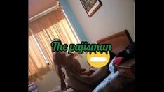 播放 爱该有的样子