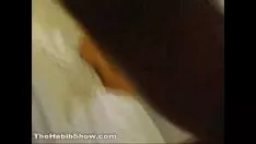 Putar Kucing-kucing berbulu Thailand yang berbulu halus dengan pantatnya yang berwarna kekuningan