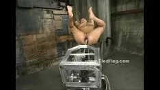 Jouer Bosomy prostituée unie souhaite un porc bdsm