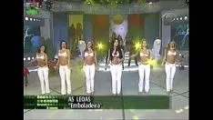 Oynat Sosyal dişi aslanlar - embolodeira