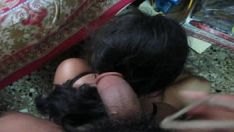 Putar Emosional semua kecuali pilusjob