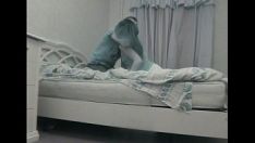 চালান প্রকৃতির আবরণে গরম মিসির