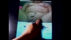 تشغيل شهادة banaobserve