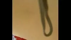 Jouer Orifice Egozu v