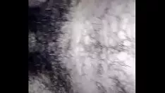 चलाएँ मेरा सेट डाउन और मेरा पासजॉब