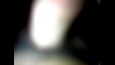 চালান xiomaraspinoza69-এর প্রশংসাপত্র
