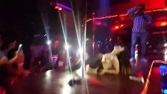 Oynat Lili tekir ve horozlar
