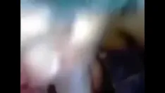 تشغيل من هو هذا الذي يمتص الديك البني؟