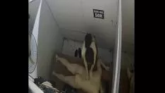 Redare Descoperă-mi masajul de pizdă