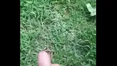 播放 我在户外玩