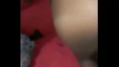 播放 我的粉丝的鲍勃正在解冻，装备齐全。超级他妈的 todinha