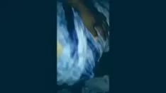 Oynat Eşek ve uzak tarafta sd